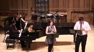 Krommer Concerto for Two Clarinets in Eb Op 91 I  Allegro [upl. by Nosiram]