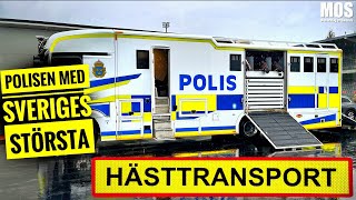 Polisens mäktiga hästtransport [upl. by Cott]