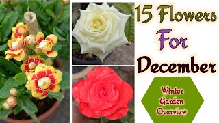 15 flowering plants for December month दिसंबर में यह 15 पौधे करेंगे कमाल [upl. by Enttirb]