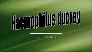 Haemophilus ducreyi [upl. by Ddej484]