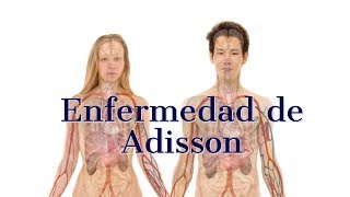 Enfermedad de Adisson [upl. by Mcdowell541]