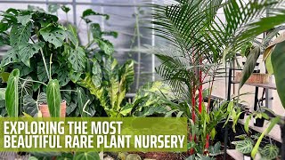 Rare Tropical Plant Nursery Tour  Aroid Greenhouses [upl. by Ecnarual]