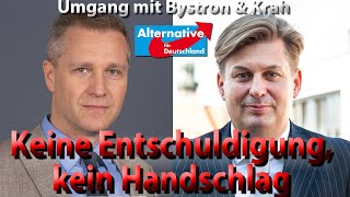 Wie sich Teile der AfD immer tiefer reinreiten [upl. by Teplitz901]