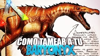 COMO TAMEAR A TU BARYONYX  Guia Español  Ark Survival Evolved [upl. by Ahsyekat]