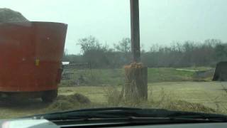 Watching The Feed Truck And Mixer Wagon Being Loaded [upl. by Yssim]