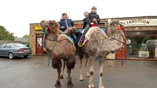 Who Needs A Car When You Have Pet Camels [upl. by Robbyn694]