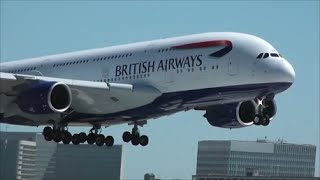 Busy Day Planespotting at Los Angeles International Airport LAX  55 Minutes Long [upl. by Gladstone]