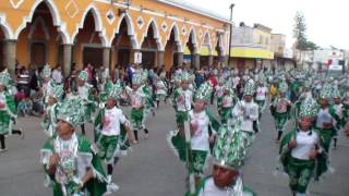 DANZA D SAYULA JALISCO LA VIRGENCITA [upl. by Atsirt]