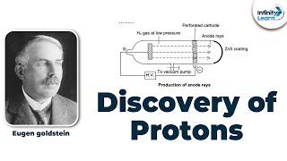 Discovery of Protons  Grade 9  Dont Memorise [upl. by Aselehc472]