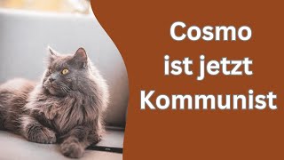 Cosmo ist der stärkere und alles gehört ihm [upl. by Eelyk]