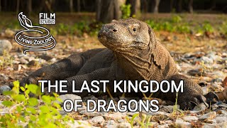 The Last Kingdom of Dragons  film about Komodo by Living Zoology film studio [upl. by Renee133]