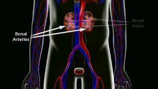 The Risks of Gadolinium Contrast Dye [upl. by O'Neill]