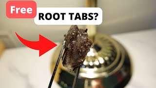 DIY Root Tabs For A Planted Aquarium [upl. by Moscow]