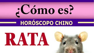 SIGNO RATA DEL HORÓSCOPO CHINO  ASTROLOGÍA CHINA  ricardlopez ricardlopez [upl. by Cayser552]