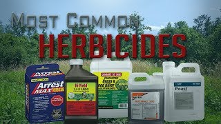 Five Most Common Food Plot Herbicides [upl. by Drarreg778]