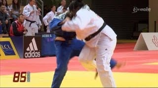 Championnats de France de Judo 2014 Vendée [upl. by Sowell]