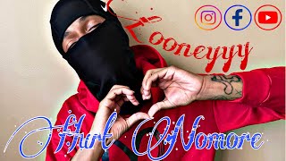 LOONEYYY  HURT NOMORE OFFICIAL AUDIO [upl. by Im]