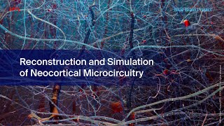 Reconstruction and Simulation of Neocortical Microcircuitry [upl. by Marleen]