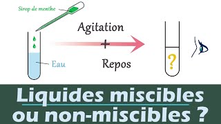 Miscibilité  Liquides MISCIBLES ou nonmiscibles   Physique chimie  Collège Lycée [upl. by Ahsiret]