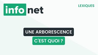 Une arborescence cest quoi  définition aide lexique tuto explication [upl. by Atnad]