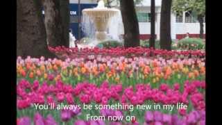 Something new in my life w lyrics by Sarah Geronimo [upl. by Anitniuq314]