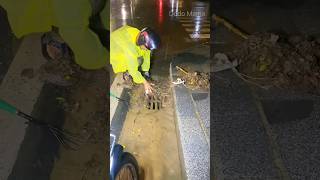 The best removing and clogs clogged drain shortvideo shorts video video [upl. by Fern]