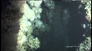 RMS Carpathia Wreck Diving Expedition 2007 [upl. by Bromleigh29]