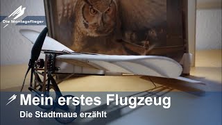 Mein erstes Flugzeug Die Stadtmaus erzählt [upl. by Teodoor]