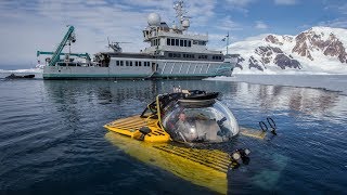 The Deepest Dive in Antarctica Reveals a Sea Floor Teeming With Life [upl. by Acenes436]