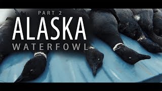 Alaska Adventure Part 2  Bear Territory Goose Hunting Over Windsock Decoys [upl. by Analah]