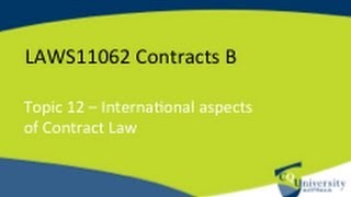 Contracts Law International Aspects [upl. by Andrej]