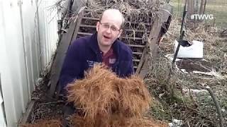 How to use PINE NEEDLES in Garden as MULCH around fruit trees and plants [upl. by Fitts]