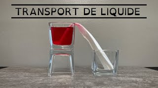 Expériences à la maison  Transport de liquide par capillarité avec dénivelé initial [upl. by Festus920]