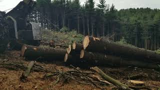 John Deere Skidder Logging Driving the 640L backwards then it makes a good drag up a slick slope [upl. by Odlonyer]