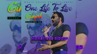 Ginjah  One Life To Live Money Bee Riddim [upl. by Nedle]