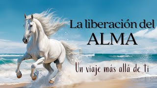 La liberación del ALMA 💫 Michael A Singer  Audiolibro [upl. by Cini]