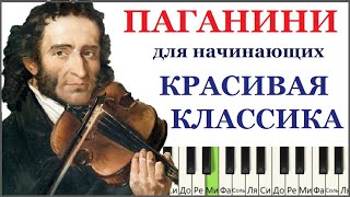 🎹 Как играть ПАГАНИНИ Этюд КРАСИВАЯ и ПРОСТАЯ версия для начинающих [upl. by Canon]