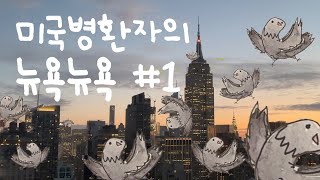 미국병 말기 환자의 누엵 탐험기 🇺🇸  뉴욕1 [upl. by Eitac3]