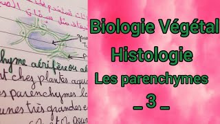 Biologie VégétalHistologieLes parenchymes Partie 03 les parenchymes de réserveSNVL1S2 [upl. by Glanti506]