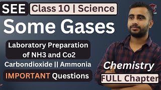 Some Gases Chapter of Class 10  Science Chemistry  Preparation of Co2 and NH3  Properties SEE [upl. by Naejeillib323]