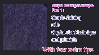 Simple staining  technique  principles  procedure  crystal violet staining  Bacteria staining [upl. by Nodnelg]