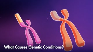 How mutations or variations can lead to genetic conditions [upl. by Acinoev517]