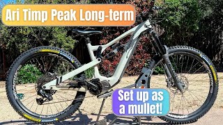 Ari Bikes Timp Peak Longterm Review  170mm travel bike formerly Fezzari [upl. by Ahk]