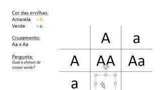 Quadro de Punnett  1ª Lei de Mendel BiologiaProf Eymael [upl. by Aholla618]