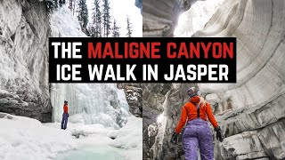 Maligne Canyon Ice Walk Dont Miss it This Winter in Jasper [upl. by Lsil]