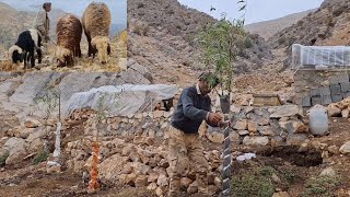 Iran Nomadic life Planting a tree on a rainy day in the mountains [upl. by Violet230]