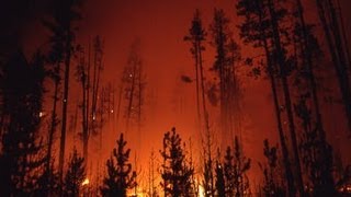 The Story Behind the Yellowstone Fires of 1988  Retro Report  The New York Times [upl. by Karlotta]