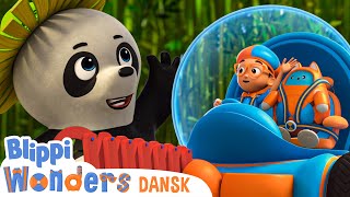 Dyr i regnskoven  Blippi Dansk  Moonbug Børn Dansk  tegnefilm for børn [upl. by Gem]