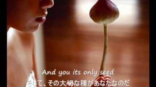 The Rose  Bette Midler 歌詞字幕）English amp Japanese Lyrics [upl. by Eah]