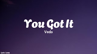 Vedo  You Got It Lyrics [upl. by Allistir258]